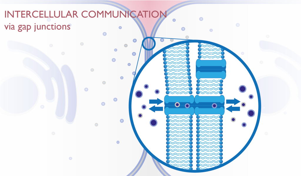 Communicating Junctions Definition At Anita Richards Blog